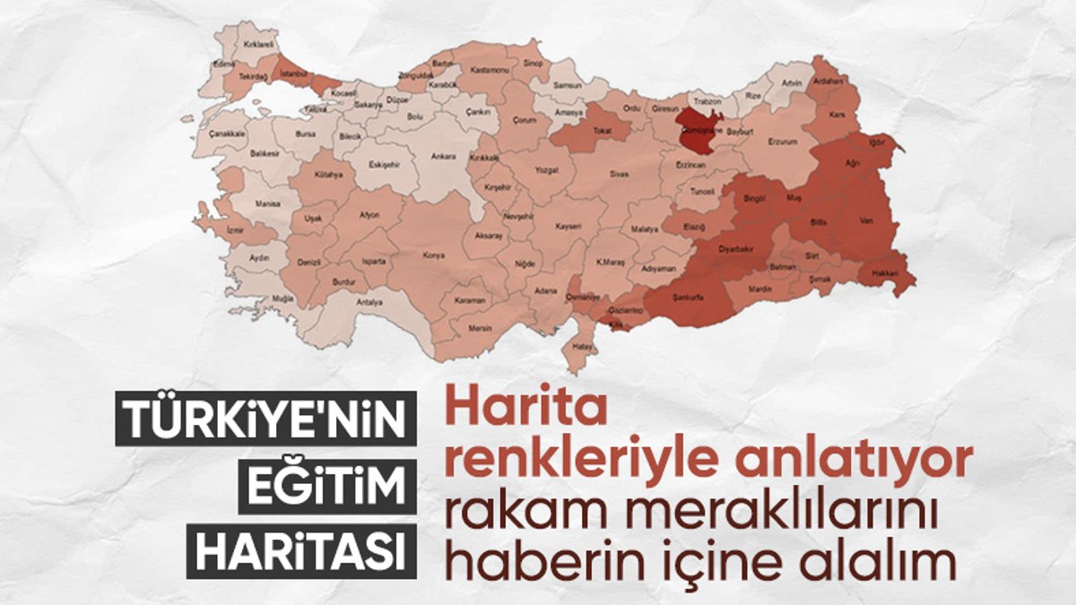 Türkiye’de ortalama eğitim süresi 17,9 yıl